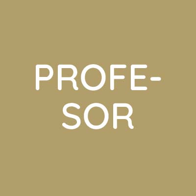 profesiones profesor